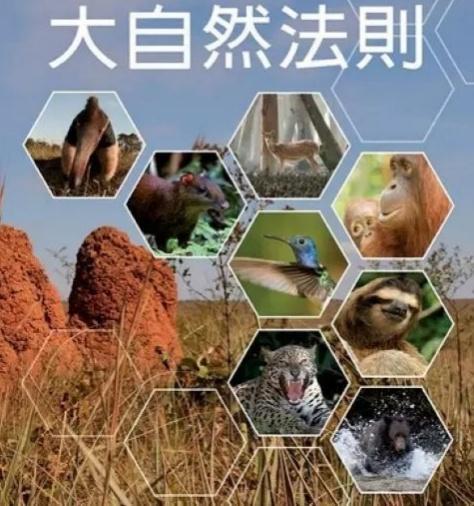 上古天皇,人文始祖伏羲图腾