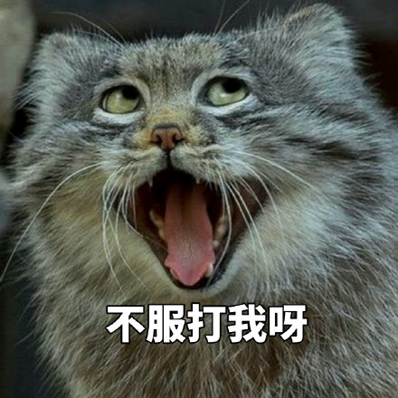 社区商铺适合的创业项目,自己开店是先找店面还是先选项目