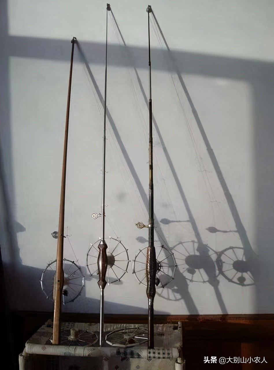 甲鱼枪打甲鱼浮头打什么位置,甲鱼枪打甲鱼全过程