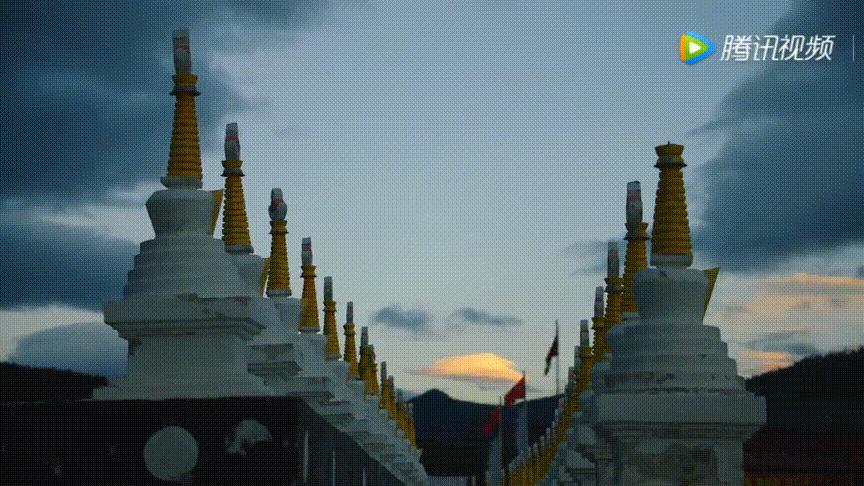 带你Get《司藤》同款神仙美景，春天的香格里拉这样玩