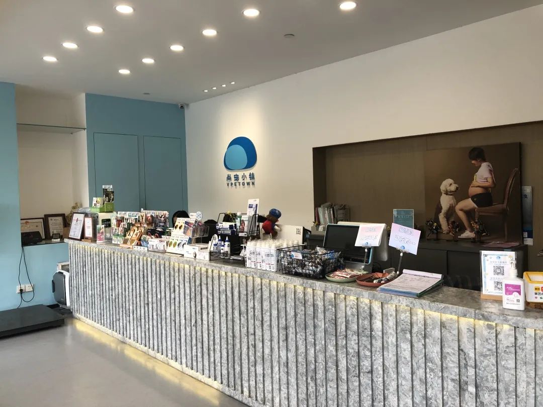 欢迎同行入内,这是一家为宠物店而开的宠物