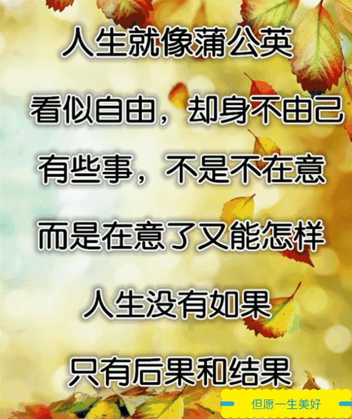 能解开人心结的话,能解开心结的一段话