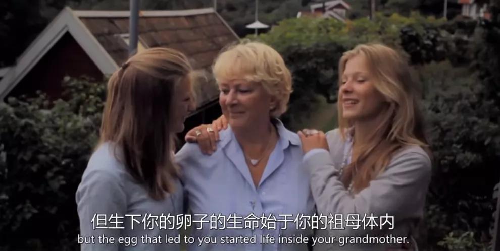 妈妈讲精子和卵子的结合,精子与卵子结合过程科教片