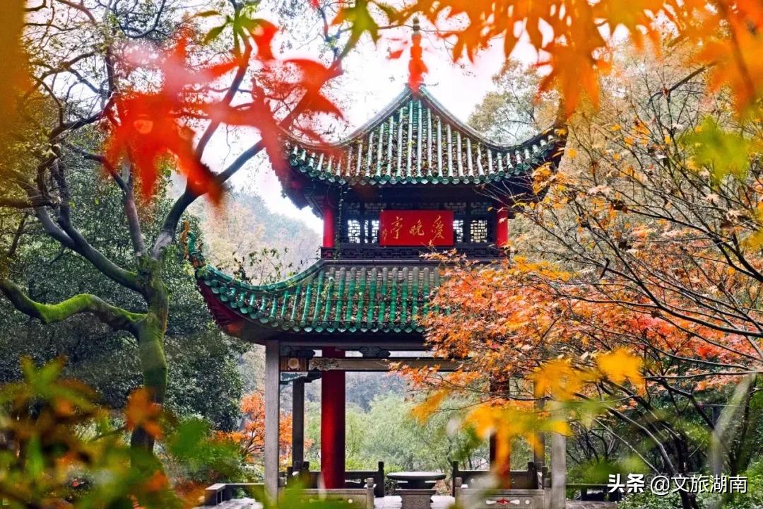 厉害了!湖南这两个城市将成为旅游中心城市