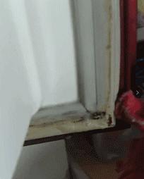 油烟机不用手擦哪里脏喷哪里,家里油烟机油污难清理