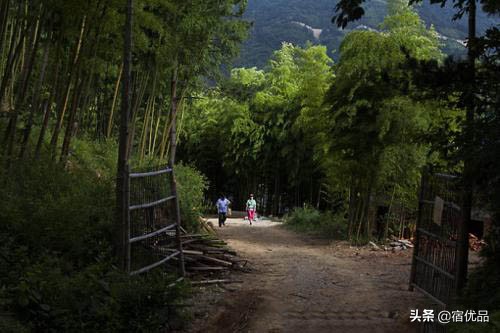 安吉董岭避暑农家乐,安吉董岭农家乐哪家看山景最佳