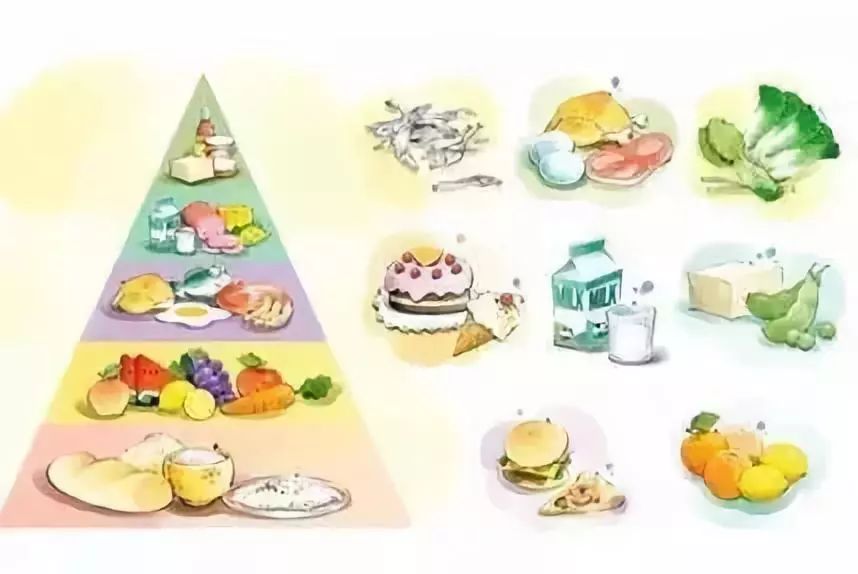 小孩脾胃虚弱怎么调理中医推拿,脾胃虚弱失眠多梦中医辨证论治