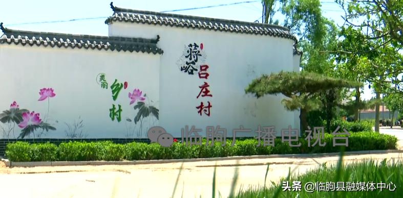 “绿满城乡·秀美临朐”系列报道（八）蒋峪镇篇：勇立潮头迎风起水墨蒋峪谱新篇