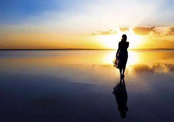 白茶清欢感恩遇见,白茶清欢山东