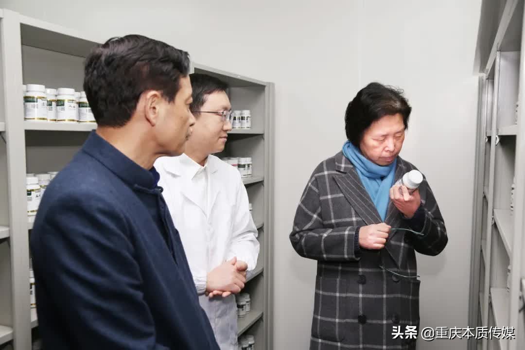 上海春芝堂食用菌,上海春芝堂食用菌最新新闻