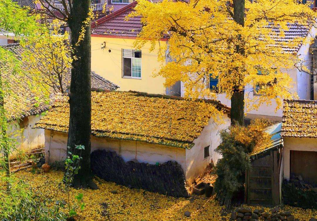 依山傍水说的就是这里,苏浙皖三省交界的长兴,是个低调的好地方