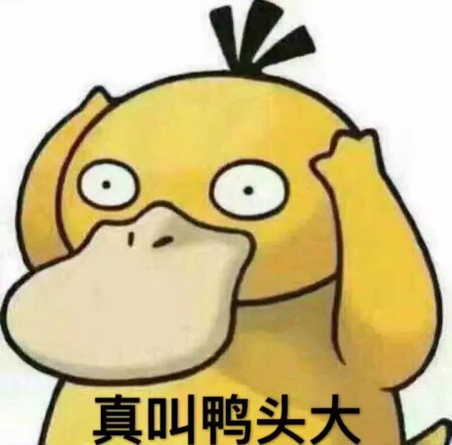 猫咪乱尿解决神器,猫咪乱尿吃什么药管用