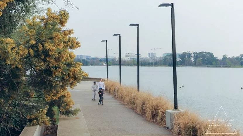 澳洲|春意堪培拉,看袋鼠、品酒、赏花、住进动物的家