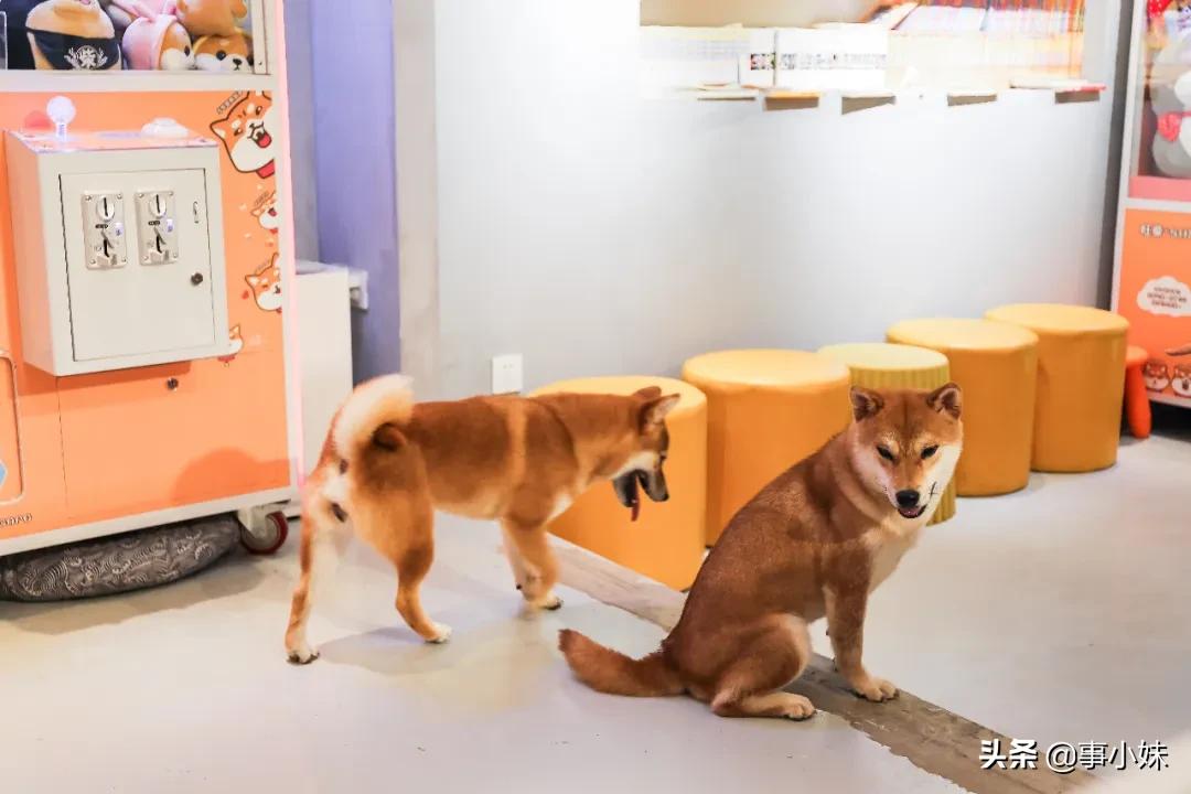 科华北路美食,科华北路美食攻略