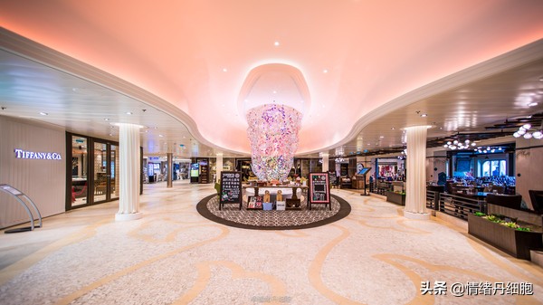 邮轮游选择哪个游轮好,邮轮旅游全攻略公主号