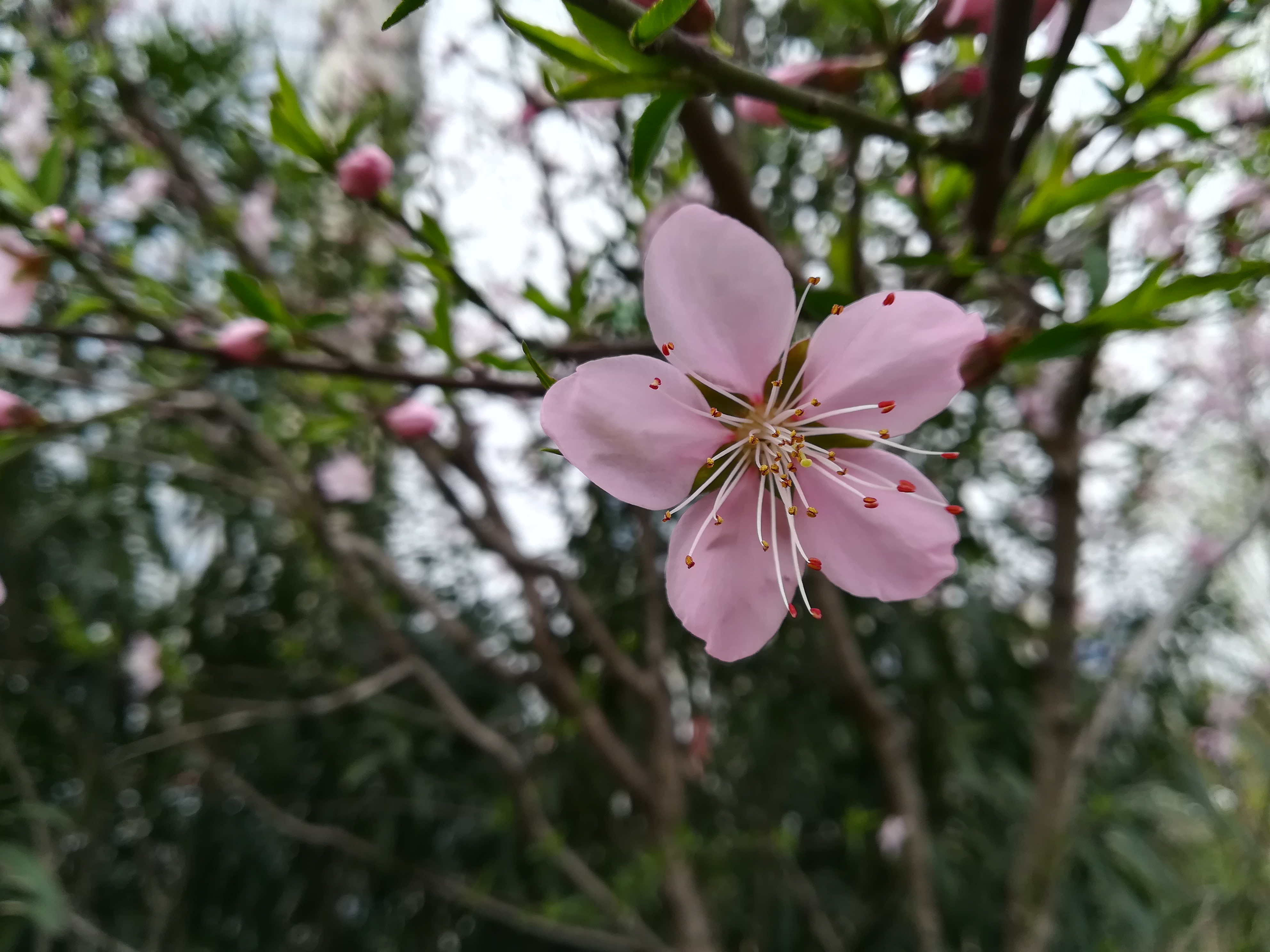 苏州越溪永旺梦乐城,苏州新区永旺梦乐城