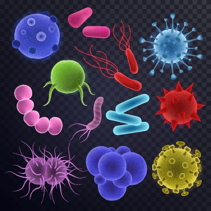 清洗子宫正确方法,女人的子宫用什么洗没异味