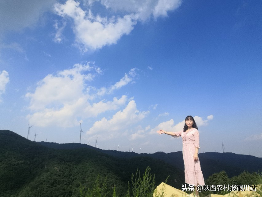 陈百强一生一共唱了多少首歌,朱百强个人资料