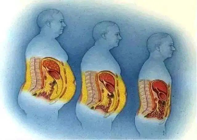 跑步如何才能减掉内脏的脂肪,降血脂药可以减掉内脏脂肪吗