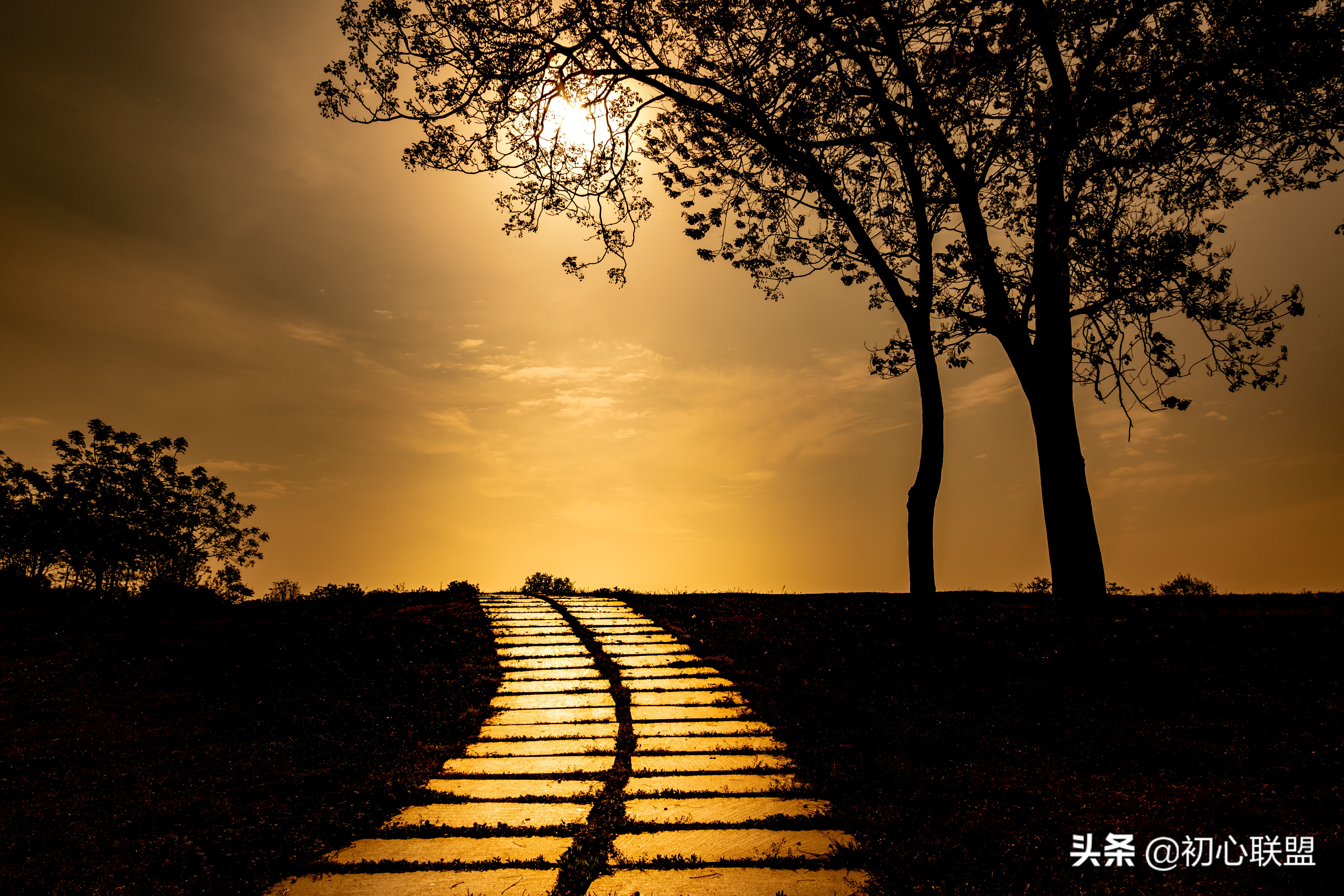 大连外国语大学英语口译考研,大连外国语学院考研日语怎么样