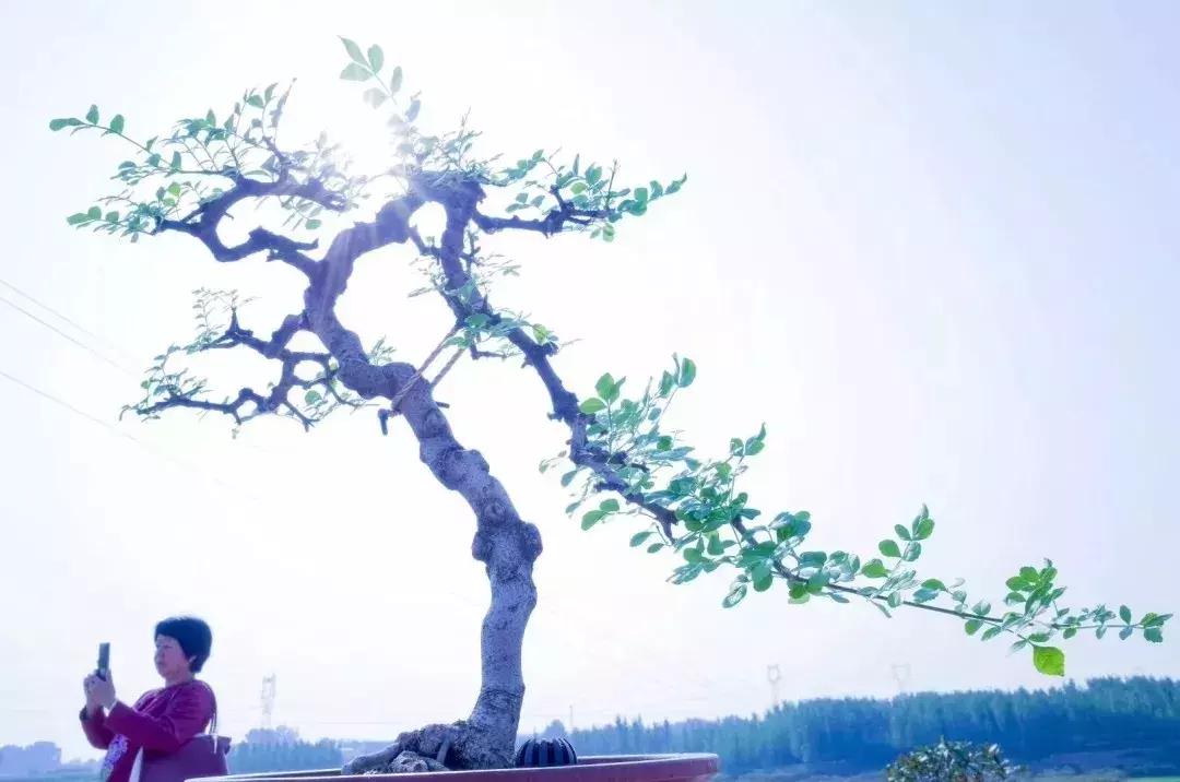 邯郸国庆亲子游人少风景好,邯郸周边二日游的绝佳去处