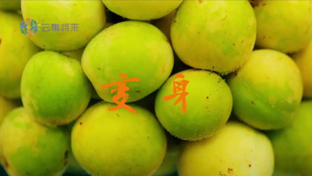 天然去雕饰的《水果传》，给你一场抵挡不住的水果饕餮