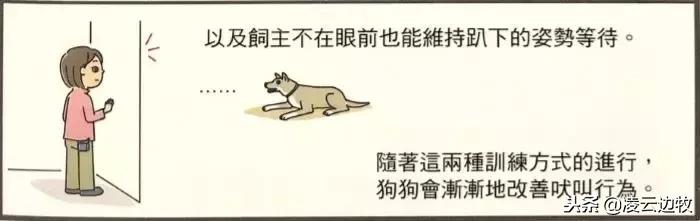 如何解决狗狗自己在家的叫唤,怎么纠正狗狗出门乱叫