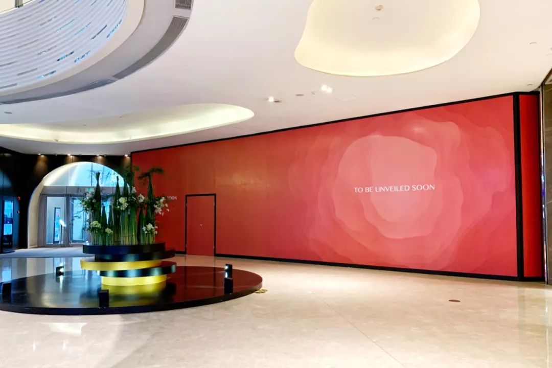 4月的日记,4月观察日记