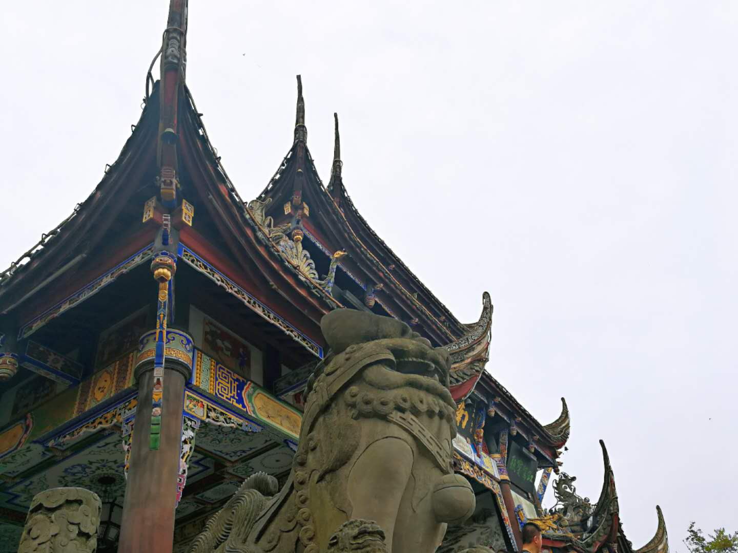 拼车去*藏西**，看功夫熊猫都江堰，导游带进购物店，让躺在床上体验