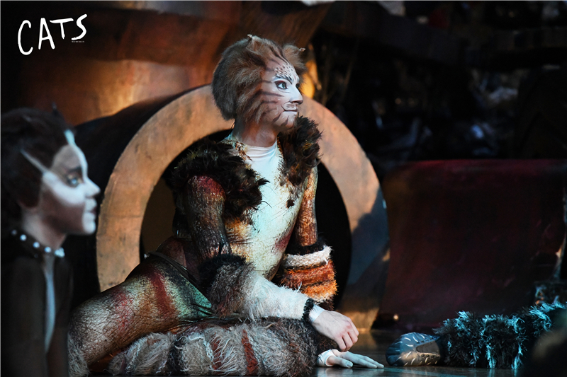 天津大剧院音乐剧演出,天津音乐剧2020