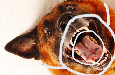 299鍚嶅珜鐤戜汉鎺掗槦鑷鍚庣画,299鍚嶆秹妗堝珜鐤戜汉鎺掗槦鎶曟鑷