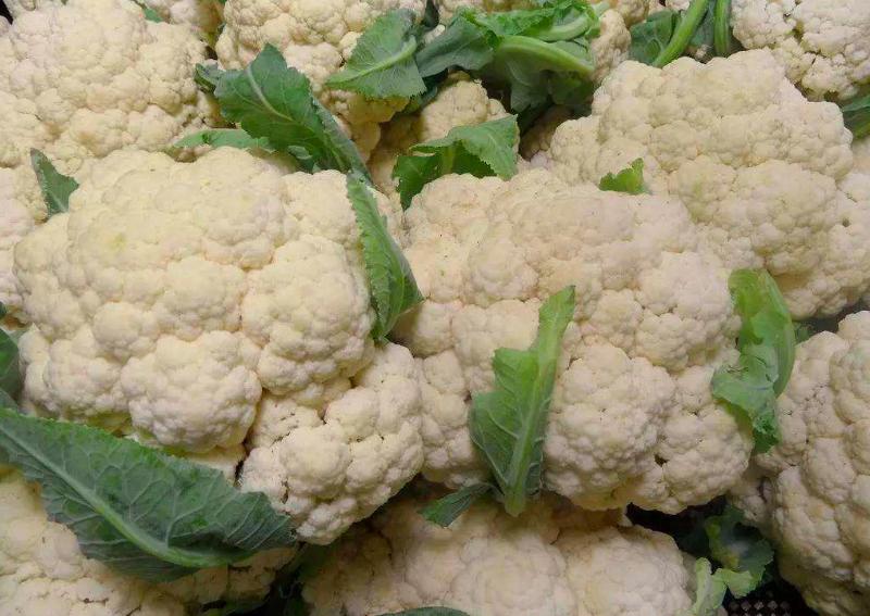 花菜为什么会苦,花菜出现早花怎么办