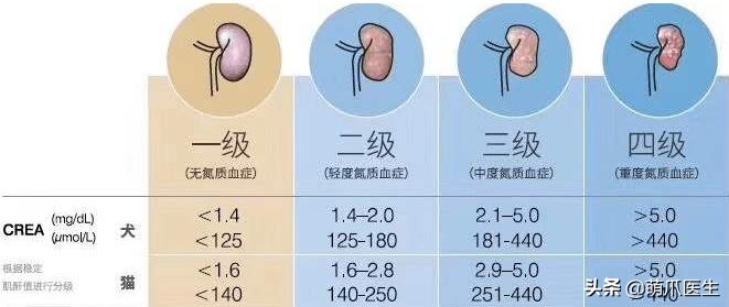 我就是馋猫的身子，没别的！