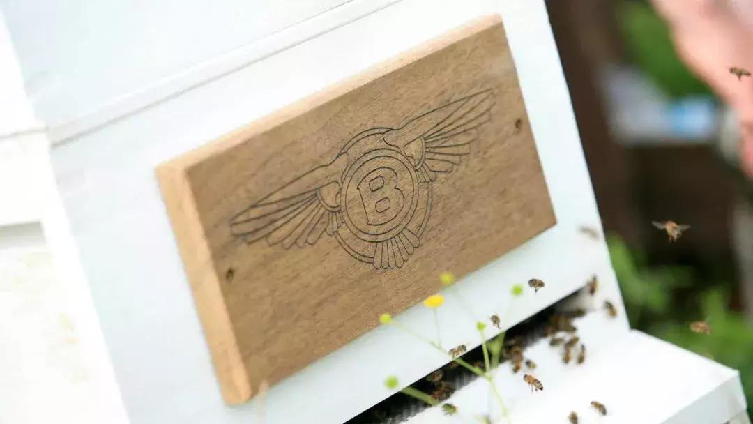 汽车企业环保低碳之路,汽车企业环保措施