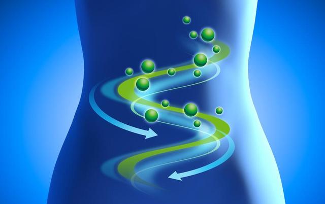 肠子有豹纹斑,肠子长豹纹