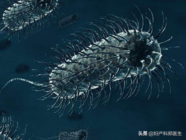 阴道炎的种类及症状怎么治疗,阴道炎的种类及症状治疗方案