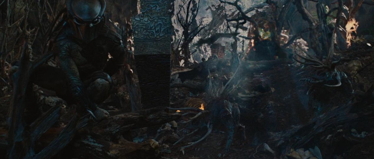 铁血战士系列解析,铁血战士形态全部解析