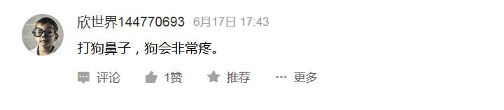 告诉孩子被狗咬怎么自救,如果小孩被狗咬怎么自救