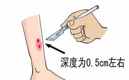 村民家中惊现2米长眼镜王蛇,近3米长眼镜王蛇出没