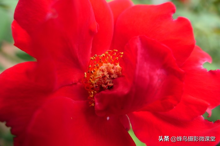 徕卡vlux5数码变焦怎么设置,徕卡v-lux5和徕卡v-lux4区别