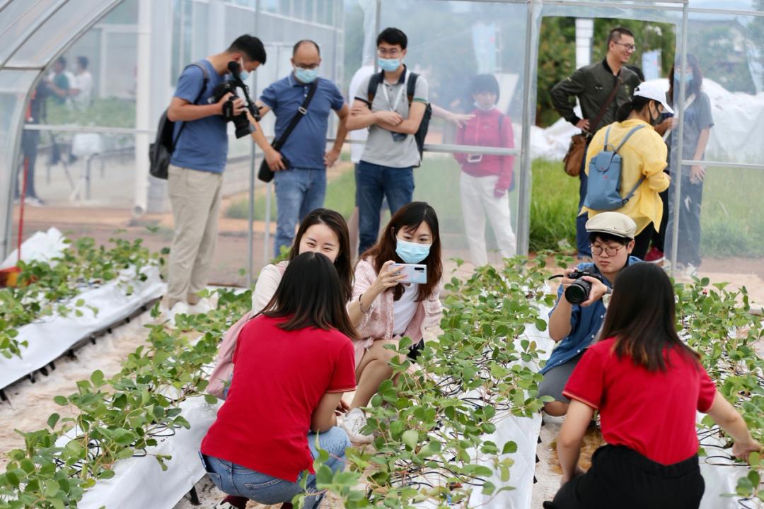 拼多多无货源模式的选品思路,拼多多农产品运营技巧详解