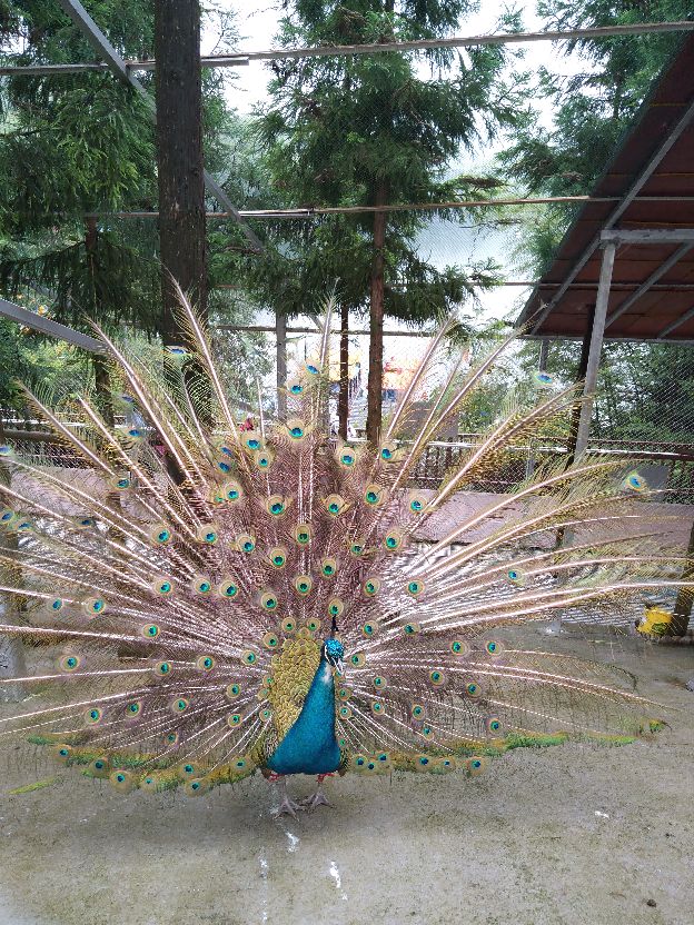 贵州赤水天鹅堡避暑山庄,贵州赤水千岛湖避暑