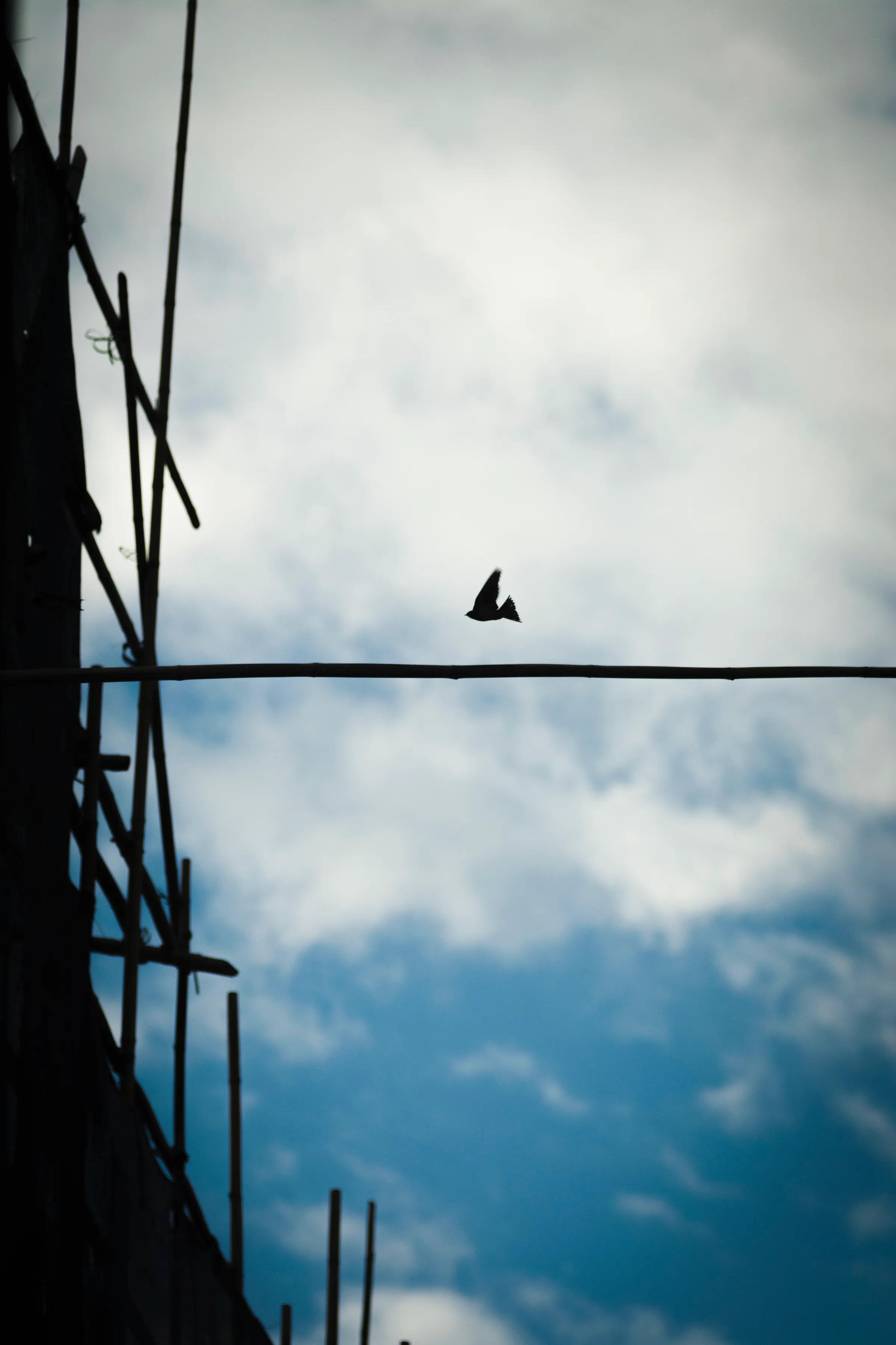 莱卡跟尼康怎么选,徕卡90mmf2.8