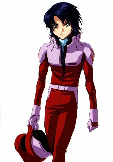 机动战士高达seed全部高达介绍,机动战士高达seed超帅卡点图片