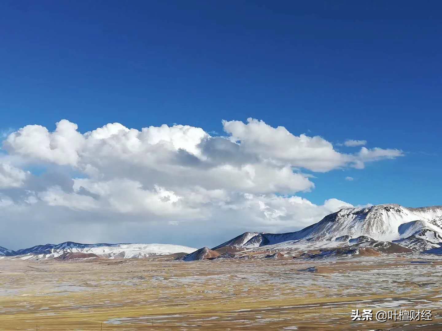 什么？爆雷股重生