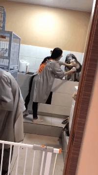 搞笑gif开心一刻原来高手在民间,搞笑gif开心一刻不按常理出牌