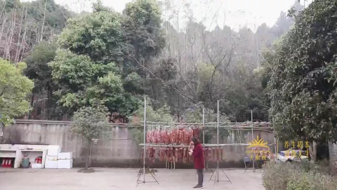 又到熏腊肉灌香肠的时节,做好的香肠在家熏腊肉