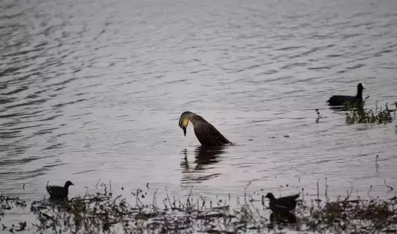 云南昆明小西湖,距离昆明3个小时车程的绝世仙境