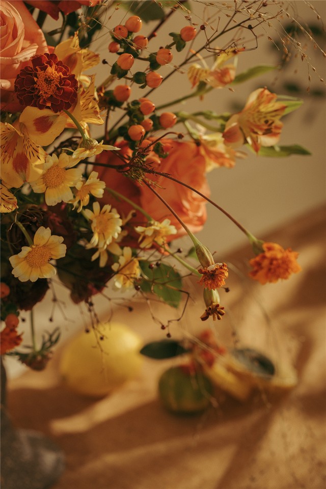 仙气森系梦幻清新写真,写真森系小清新风格照片