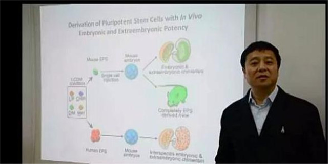 首例hiv阴性艾滋病,hiv首例感染者